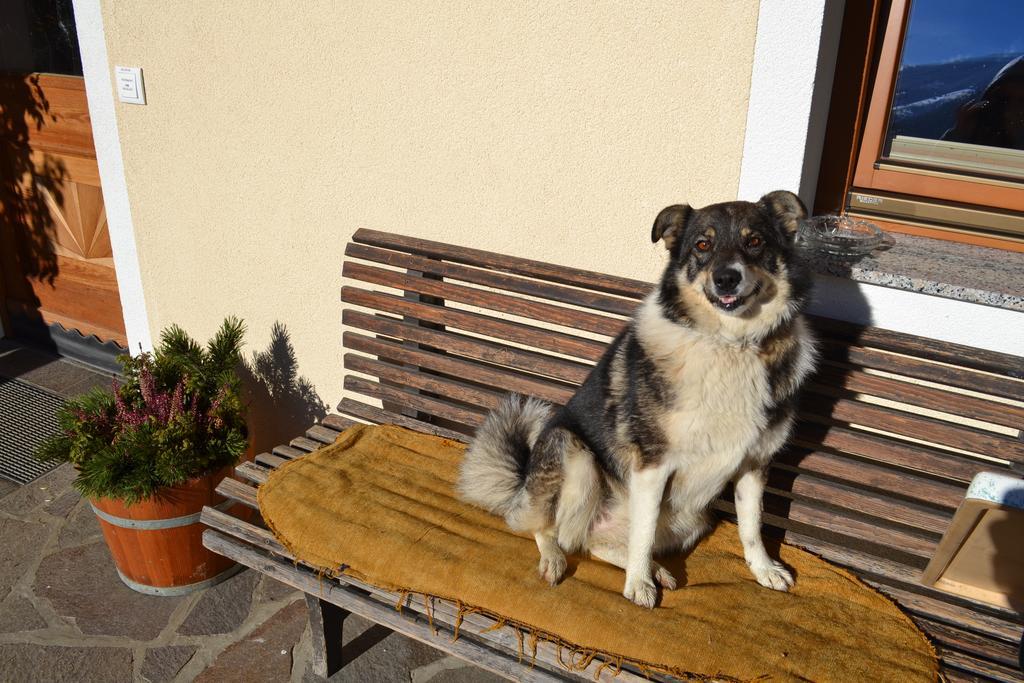 Bohrerhof Apartman Ahrnbach Kültér fotó